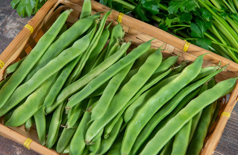 Flat Green Beans