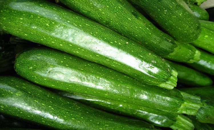 Premium Zucchini