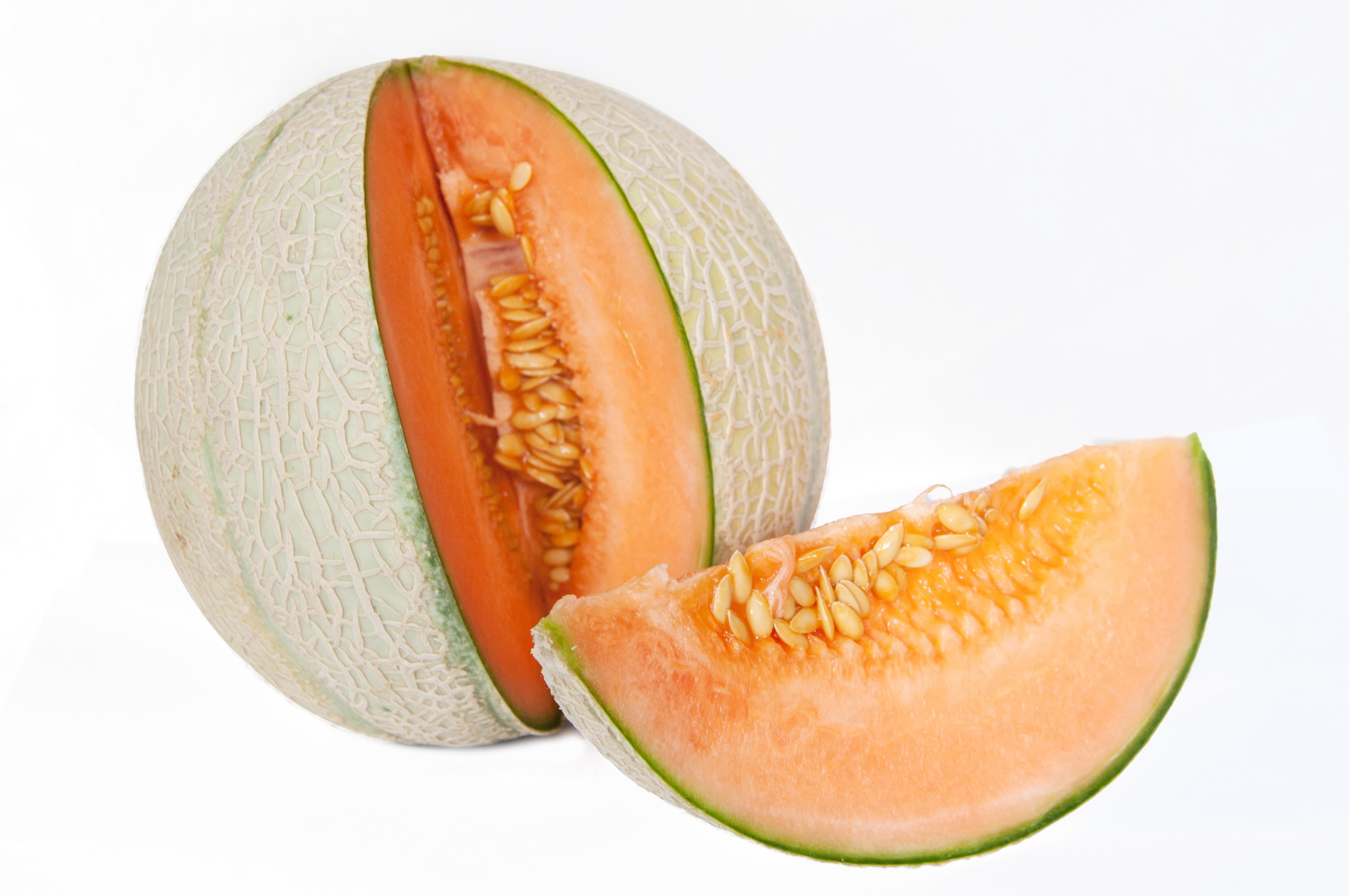 Cantaloupe Melon